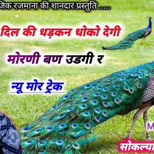 song {1634} super star Manraj Divana " dil ki dhadkan dhoko degi " Rajasthani Dj Songs
