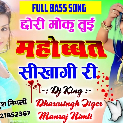 Song (1328) Full Mixx Song | छोरी मोकु तुई महोब्बत सीखागी री || Dj King Dharasingh and Manraj